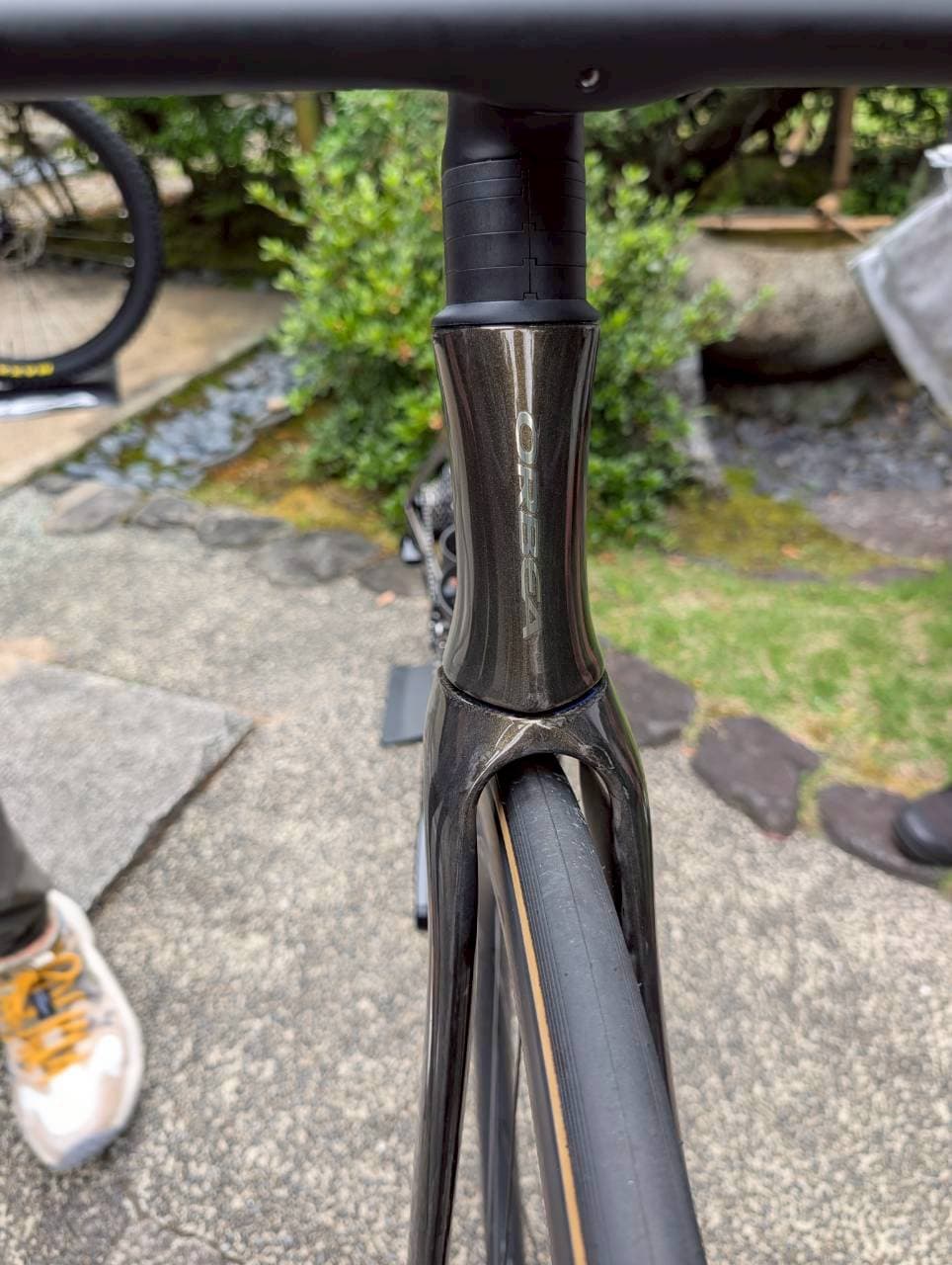 正面から見た新型ORCA AERO。ヘッドチューブとフォークが細く絞られている