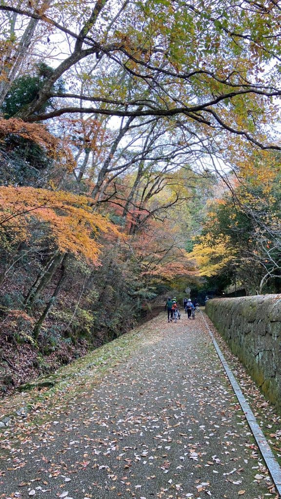 閑谷学校の紅葉した木々の脇道を歩く参加者たち